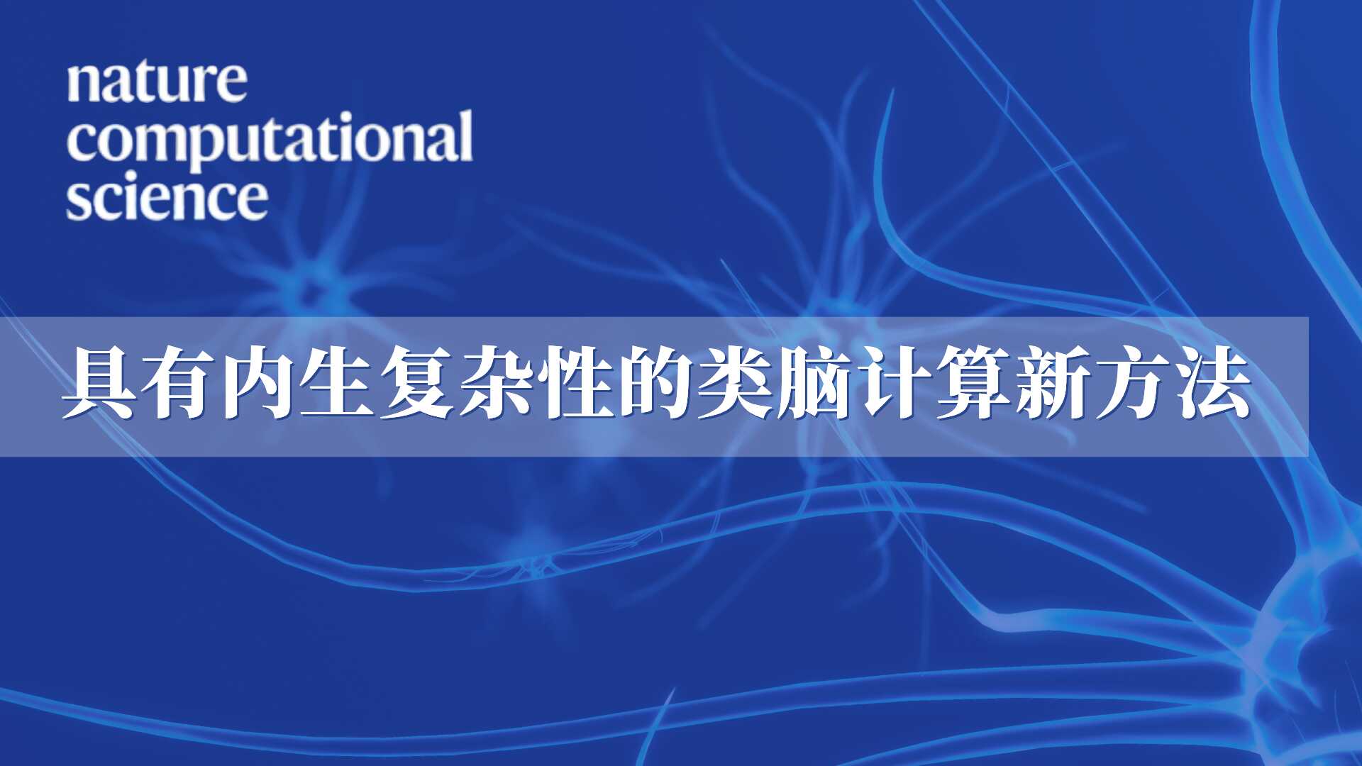 <p>自动化所联合清华北大提出内生复杂性类脑网络 构建AI和神经科学的桥梁</p>